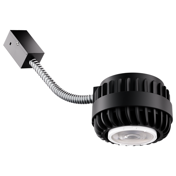 Birch LED Module, Lumen & CCT Select