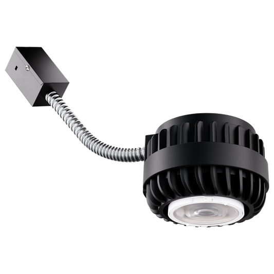Birch LED Module, Lumen & CCT Select
