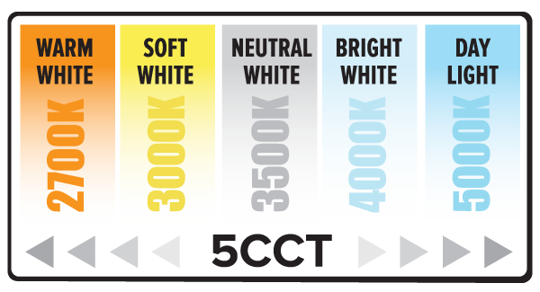 6" Deep LED Recessed Downlight w/ CCT Select