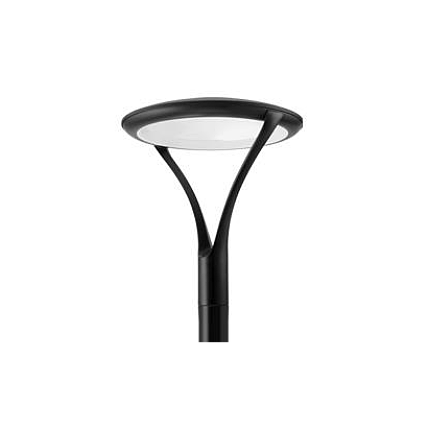 LED Post Top Head, Dark Bronze