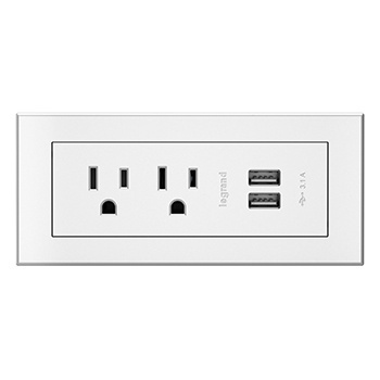 Radiant® FPC - 2 USB