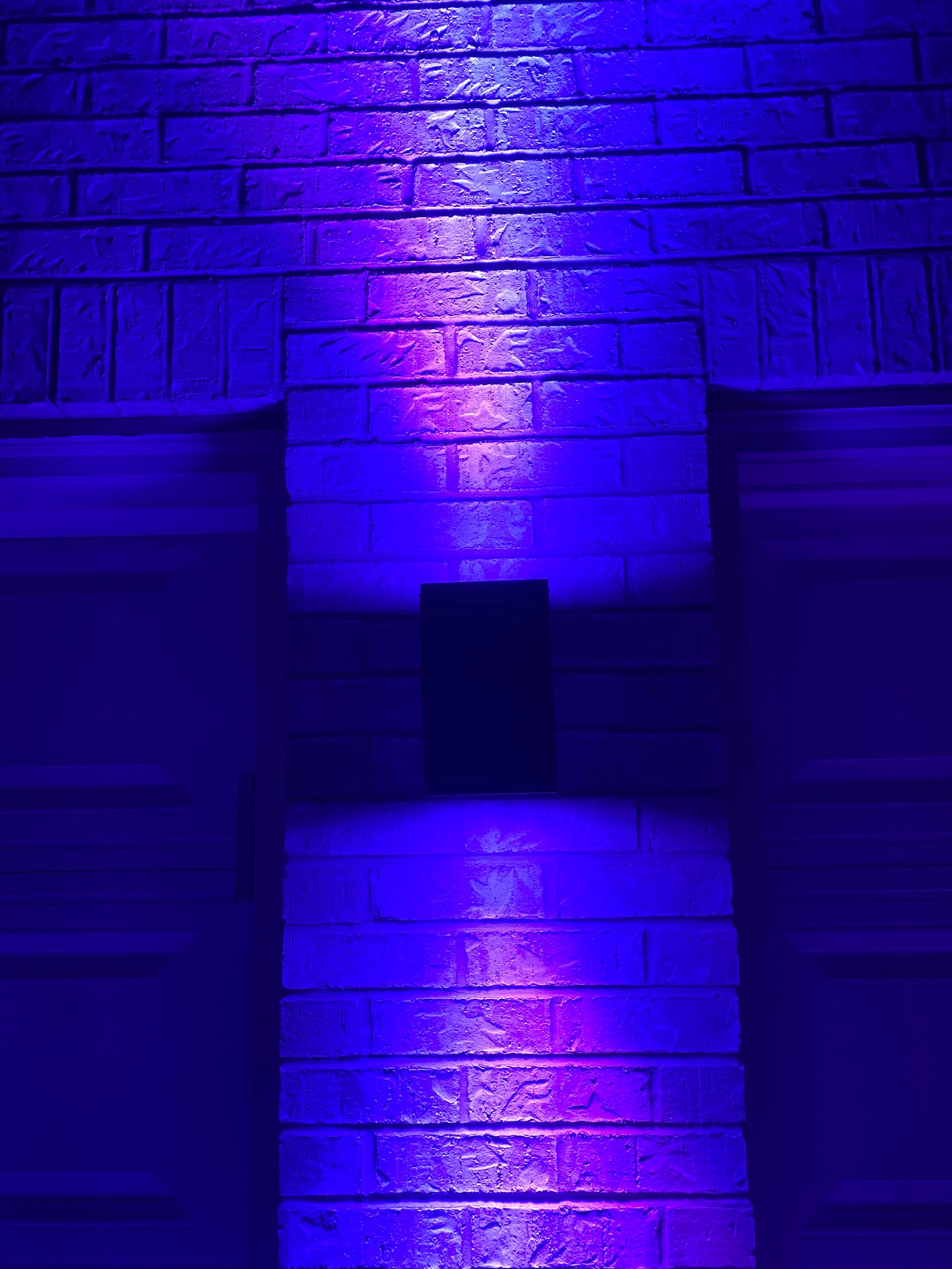 LED Dual Light