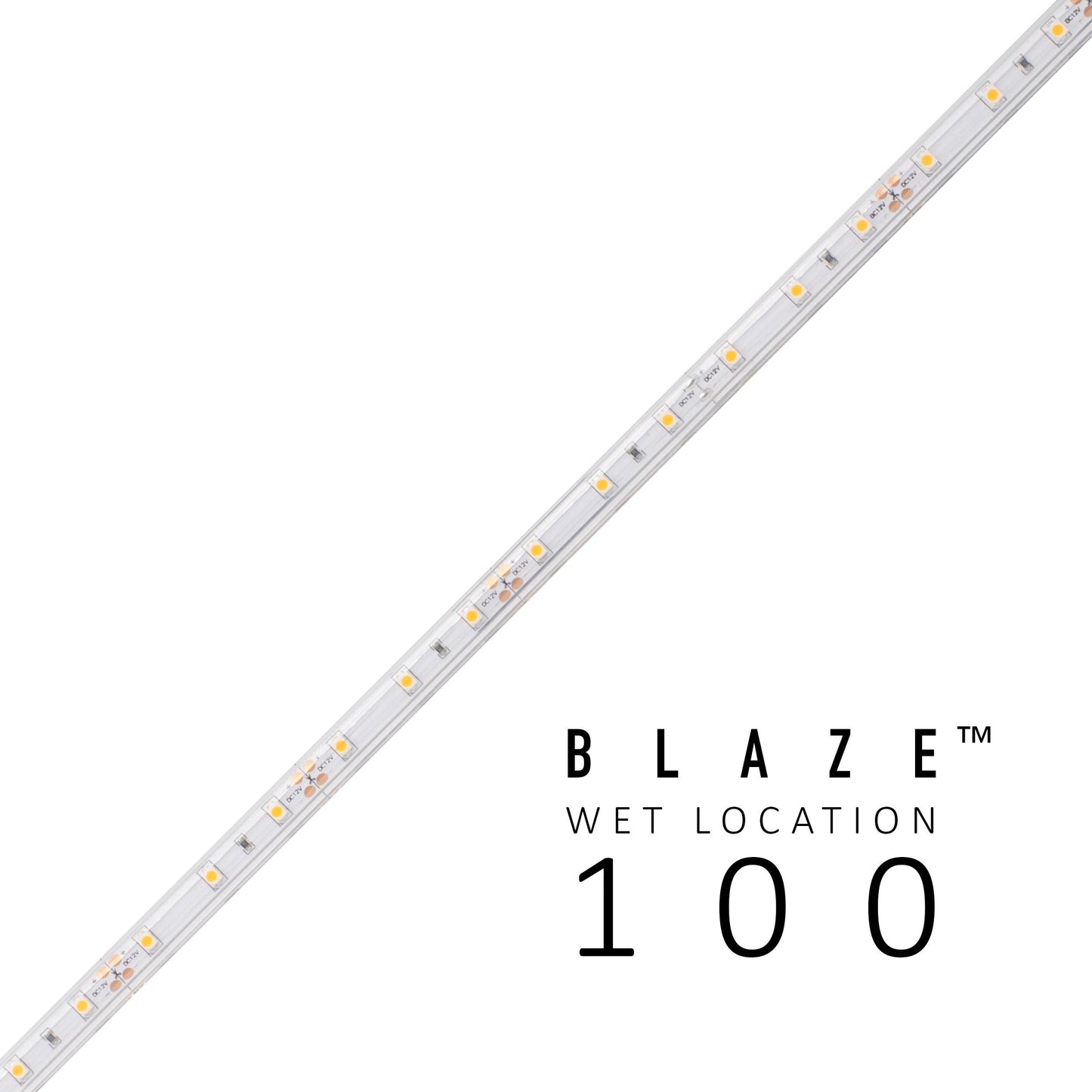 BLAZE™ 24VDC Wet Location Tape Light - 55' Roll