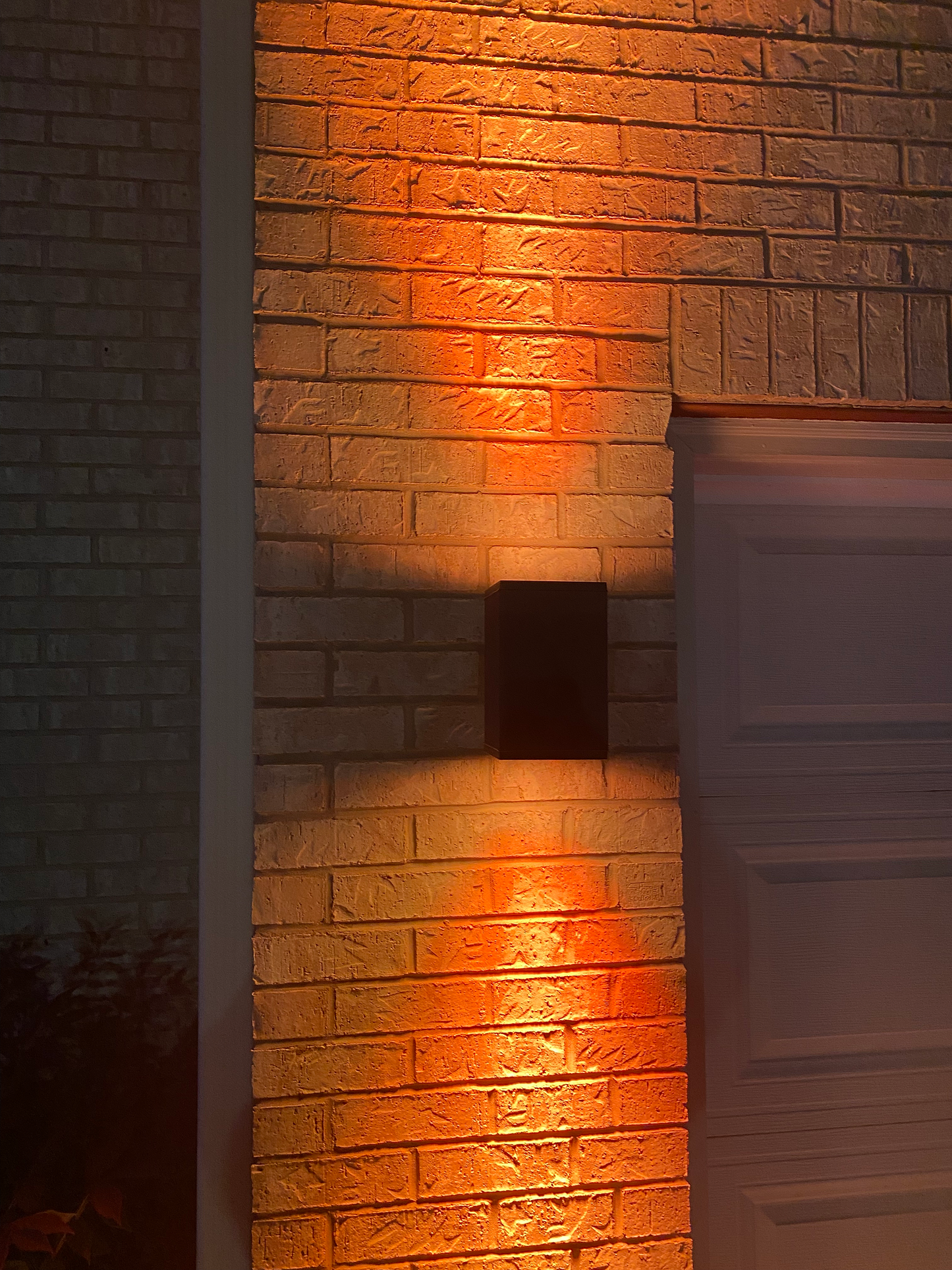 LED Dual Light