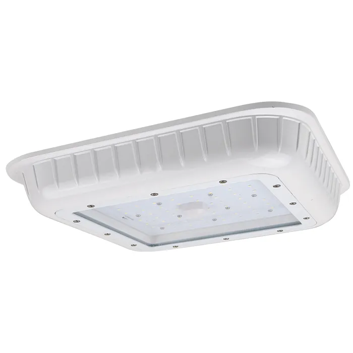13" LED Canopy