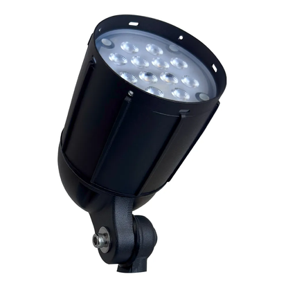 12V LED Spotlight RGBW