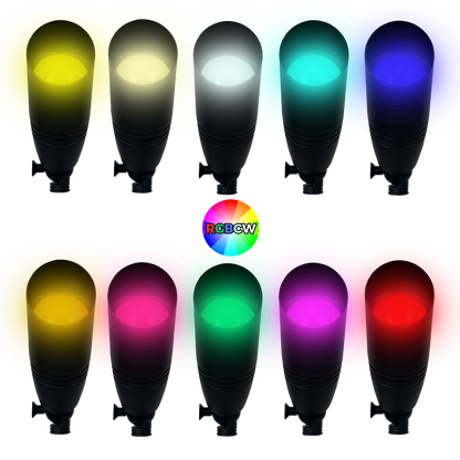 12V LED Spotlight RGBW