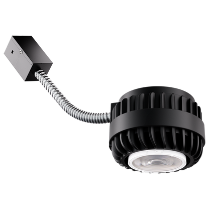 Birch LED Module, Lumen & CCT Select