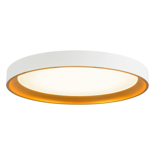 12" Nix Flush Mount LED