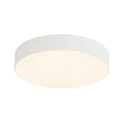 5" Rynn Flush Mount LED