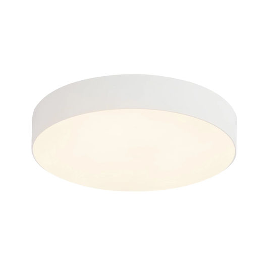 5" Rynn Flush Mount LED