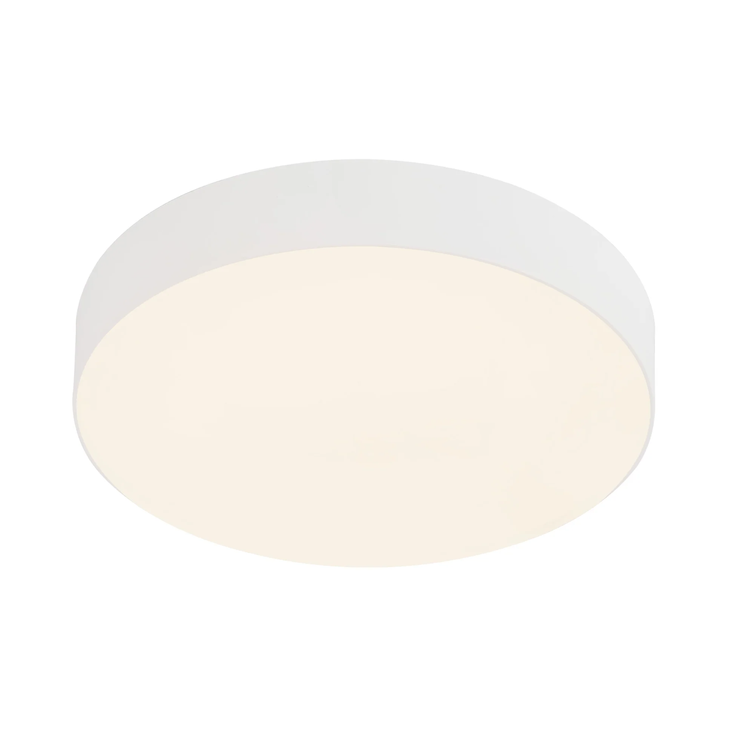 5" Rynn Flush Mount LED