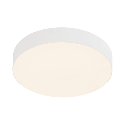 5" Rynn Flush Mount LED